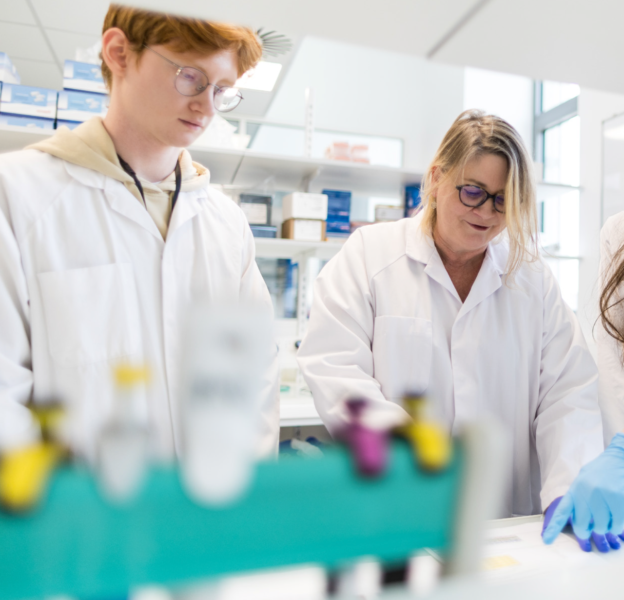 Chercheurs analysant des données de santé